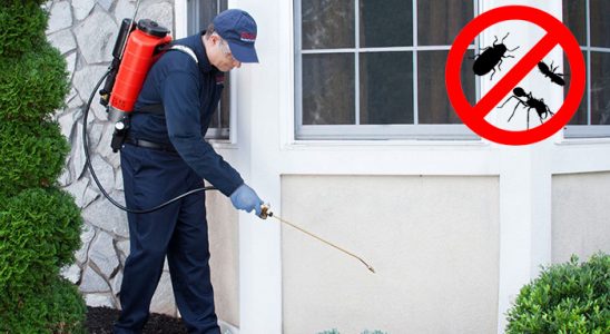 Dilovası Hamam Böceği İlaçlama böcek ilaçlama ve haşere kontrolü — ilaclama-tr.com